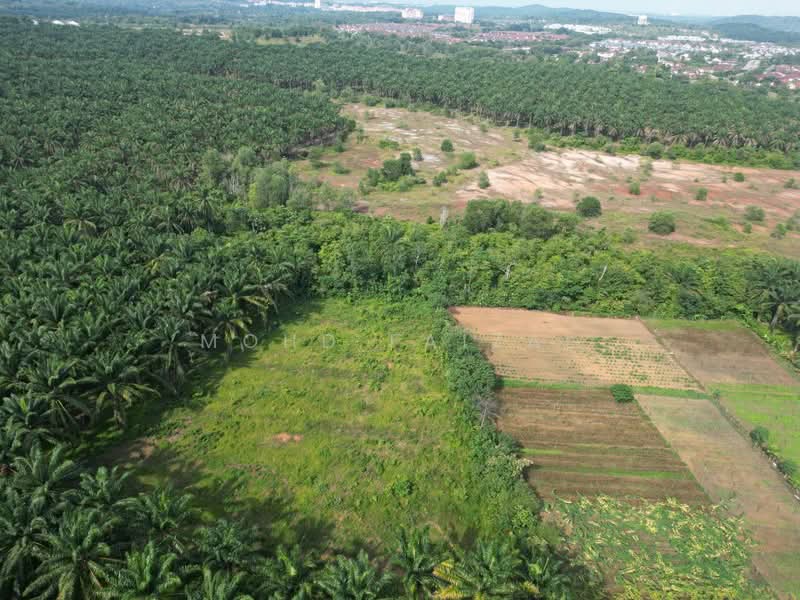 Tanah Pertanian untuk Dijual di Labu (Negeri Sembilan) - Mohd Faizal - Exterior - PropertyGuru.com.my