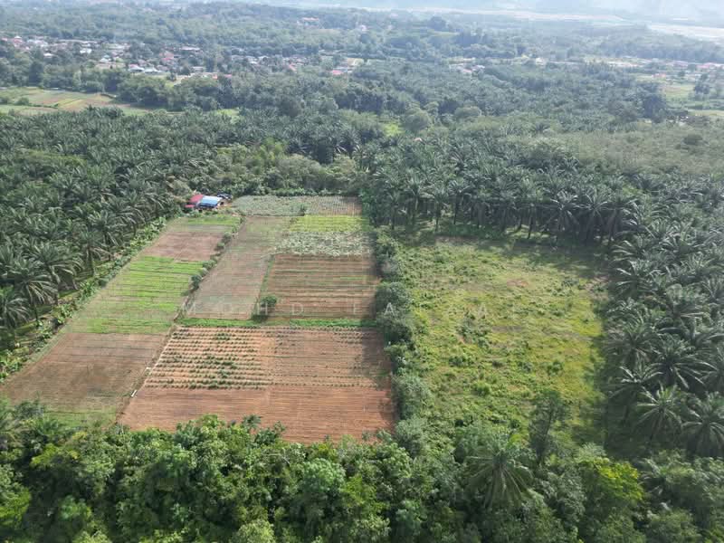 Tanah Pertanian untuk Dijual di Labu (Negeri Sembilan) - Mohd Faizal - Exterior - PropertyGuru.com.my