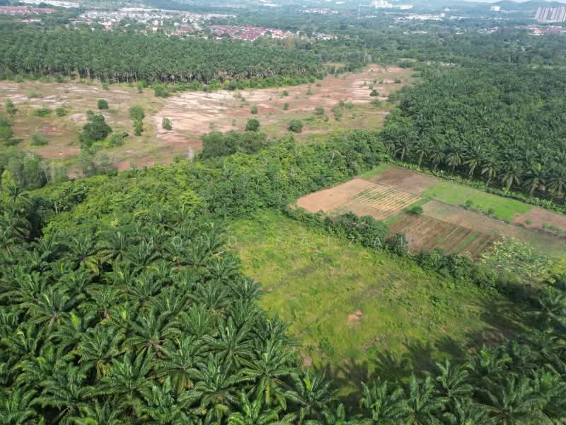 Tanah Pertanian untuk Dijual di Labu (Negeri Sembilan) - Mohd Faizal - Exterior - PropertyGuru.com.my