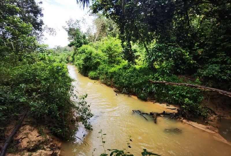 Tanah Pertanian untuk Disewa di Bentong (Pahang) - Mohd Faizal - Exterior - PropertyGuru.com.my