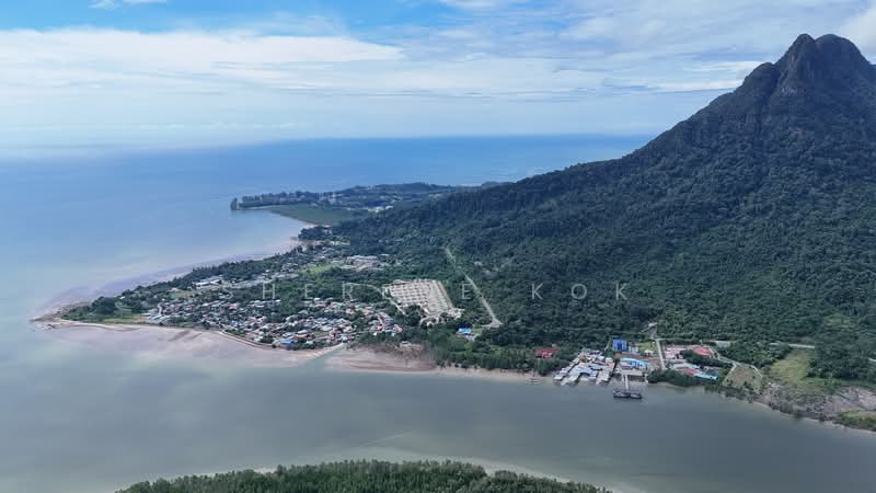 Agricultural Land for Sale in Santubong (Kuching) - Sherene Kok - PropertyGuru.com.my