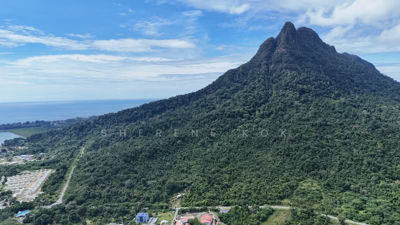 Agricultural Land for Sale in Santubong (Kuching) - Sherene Kok - PropertyGuru.com.my