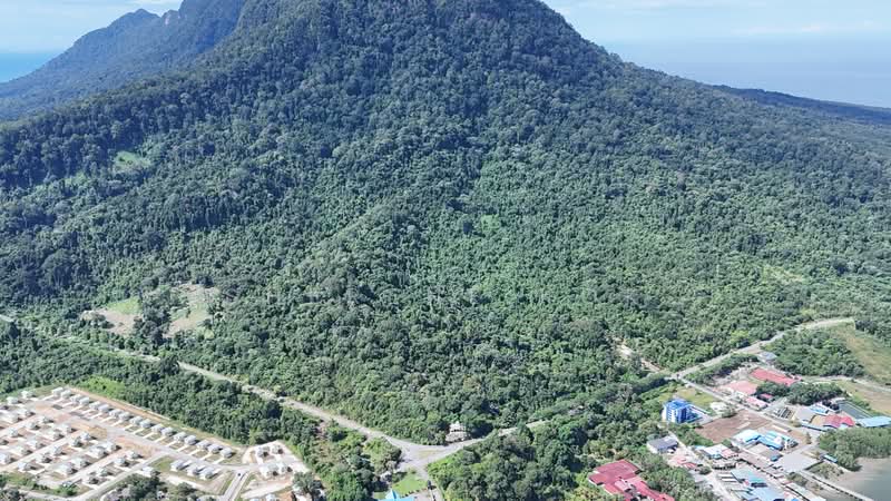 Agricultural Land for Sale in Santubong (Kuching) - Sherene Kok - PropertyGuru.com.my