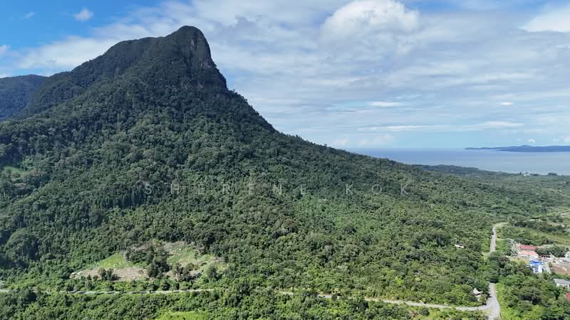 Agricultural Land for Sale in Santubong (Kuching) - Sherene Kok - PropertyGuru.com.my