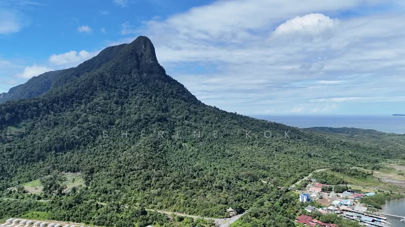 Agricultural Land for Sale in Santubong (Kuching) - Sherene Kok - PropertyGuru.com.my
