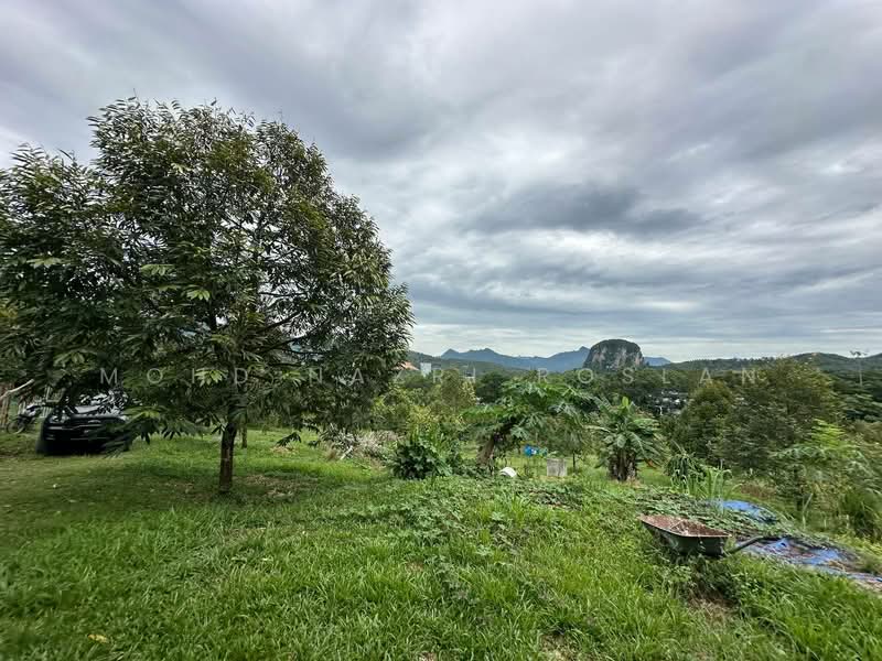 Agricultural Land for Sale in Bentong (Pahang) - Mohd Nazri Roslan - PropertyGuru.com.my