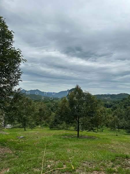 Agricultural Land for Sale in Bentong (Pahang) - Mohd Nazri Roslan - PropertyGuru.com.my