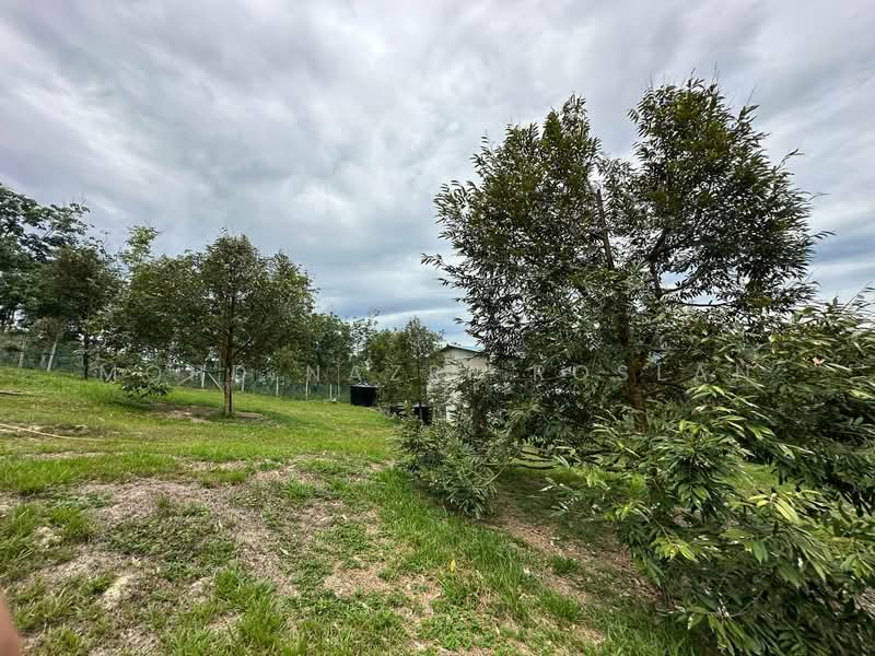Agricultural Land for Sale in Bentong (Pahang) - Mohd Nazri Roslan - PropertyGuru.com.my