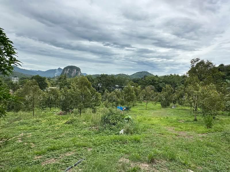 Agricultural Land for Sale in Bentong (Pahang) - Mohd Nazri Roslan - PropertyGuru.com.my