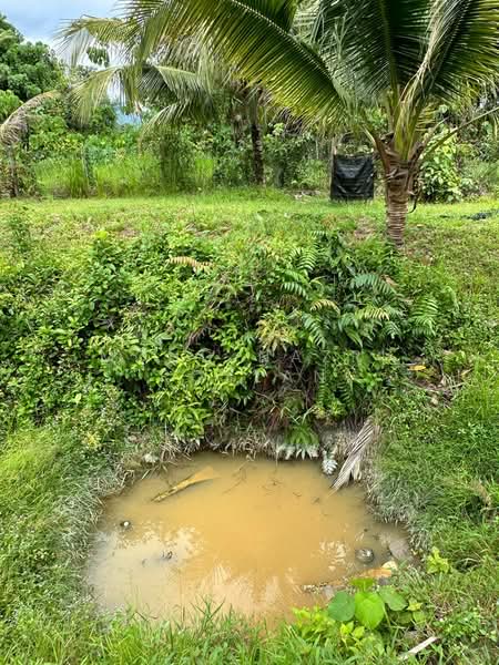 Agricultural Land for Sale in Bentong (Pahang) - Mohd Nazri Roslan - PropertyGuru.com.my