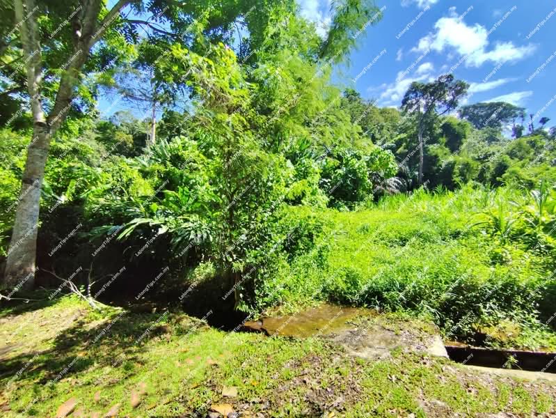 Commercial Land for Sale in PJS 2, Taman Sri Medan (Petaling Jaya) - Bee Kim - Garden - PropertyGuru.com.my