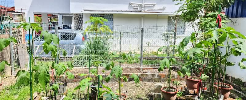 2-storey Terraced House for Sale in Kota Kinabalu (Sabah) - Celine Teah - Exterior - PropertyGuru.com.my