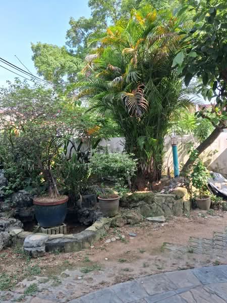 2-storey Terraced House for Sale in SS2 (Petaling Jaya) - Matthew Wong - Garden - PropertyGuru.com.my
