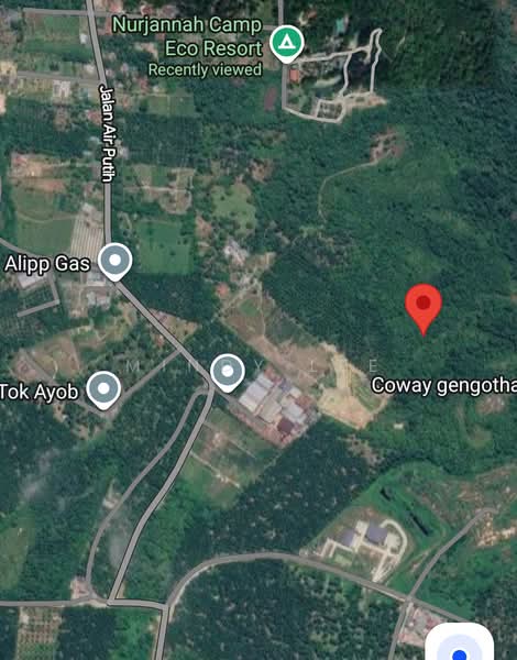 Agricultural Land for Sale in Pekan Nanas (Johor) - Mindy Lee - PropertyGuru.com.my