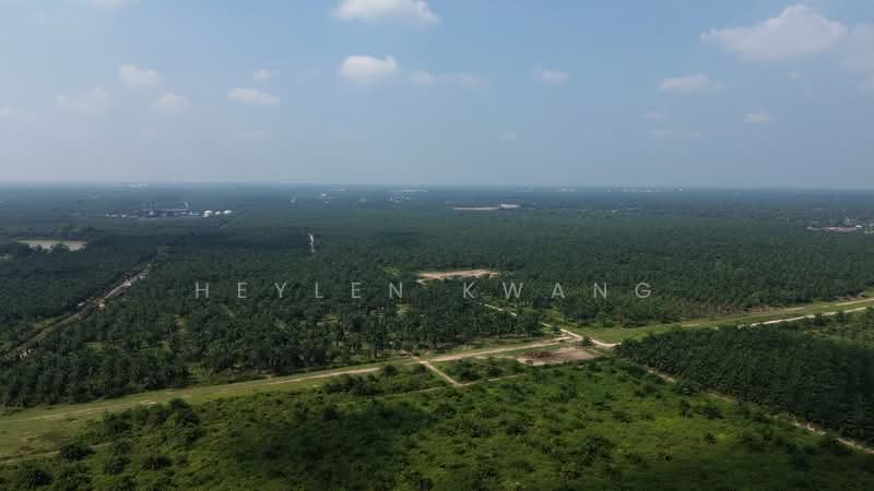 Industrial Land for Sale in Pulau Carey (Carey Island) (Selangor) - Heylen Kwang - Exterior - PropertyGuru.com.my