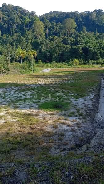 Tanah Pertanian untuk Dijual di Matang (Kuching) - Sherene Kok - Exterior - PropertyGuru.com.my