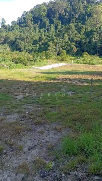Tanah Pertanian untuk Dijual di Matang (Kuching) - Sherene Kok - Exterior - PropertyGuru.com.my