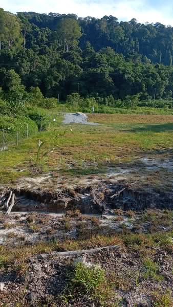 Tanah Pertanian untuk Dijual di Matang (Kuching) - Sherene Kok - Exterior - PropertyGuru.com.my