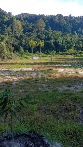 Tanah Pertanian untuk Dijual di Matang (Kuching) - Sherene Kok - Exterior - PropertyGuru.com.my