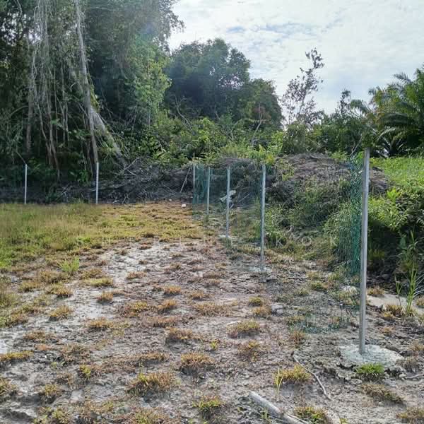 Tanah Pertanian untuk Dijual di Matang (Kuching) - Sherene Kok - Exterior - PropertyGuru.com.my
