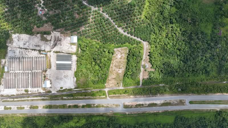 Tanah Pertanian untuk Dijual di Matang (Kuching) - Sherene Kok - Exterior - PropertyGuru.com.my