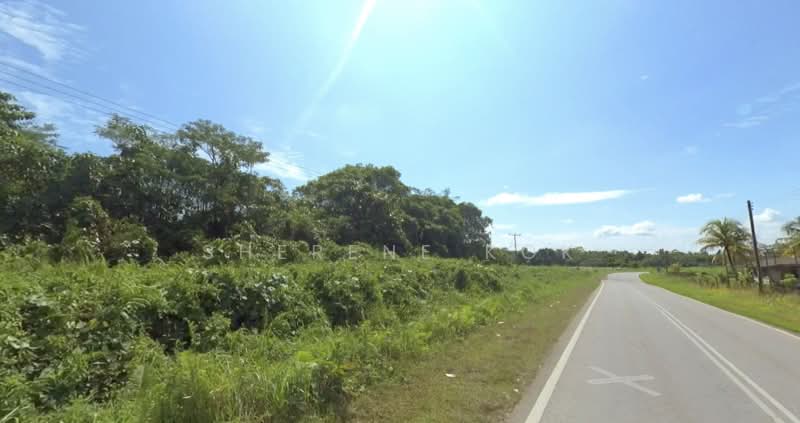 Agricultural Land for Sale in Kuching (Sarawak) - Sherene Kok - Exterior - PropertyGuru.com.my