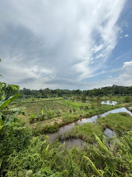 Agricultural Land for Sale in Kuching (Sarawak) - Sherene Kok - Exterior - PropertyGuru.com.my