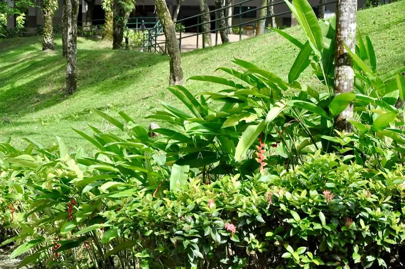 Condominium for Sale at Emerald Hill Condominium - Darren Kai Xin Ng - PropertyGuru.com.my