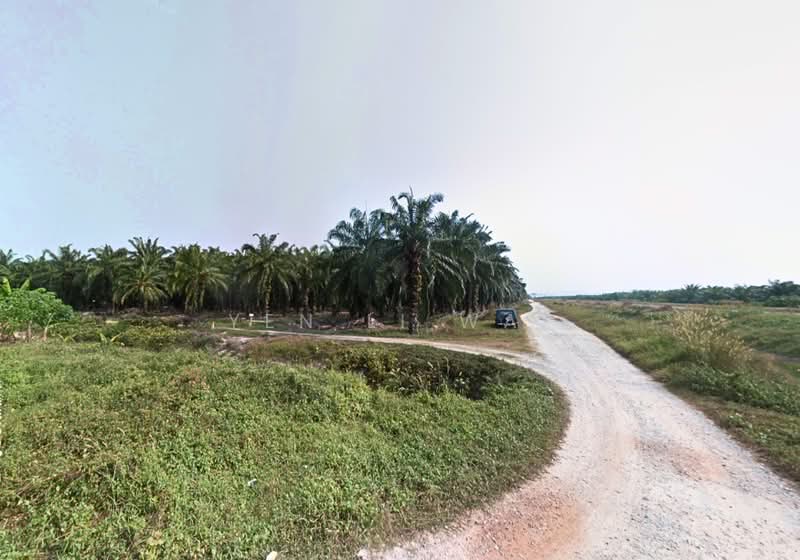 Agricultural Land for Sale in Banting (Selangor) - Janie Wai - Exterior - PropertyGuru.com.my