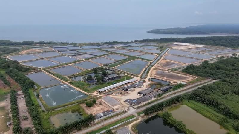 Agricultural Land for Sale in Batu Pahat (Johor) - Max Loh - Exterior - PropertyGuru.com.my