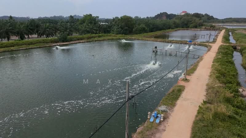 Agricultural Land for Sale in Batu Pahat (Johor) - Max Loh - Exterior - PropertyGuru.com.my