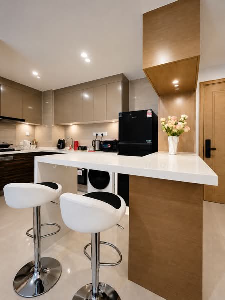 Condominium for Sale at R&F Princess Cove Phase 2-Seine Region - Janice Ho - Kitchen - PropertyGuru.com.my