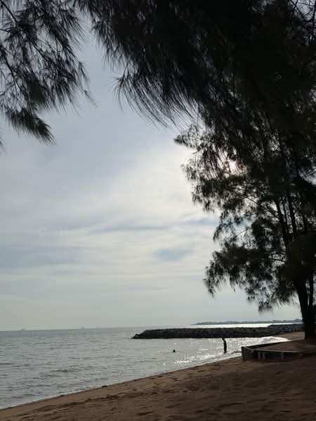 Condominium for Rent at Palm Spring @ Damansara - Cheah Wei Kit - Exterior - PropertyGuru.com.my