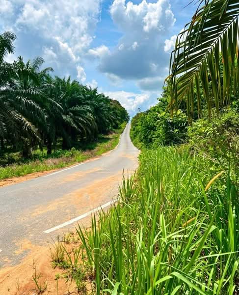 Agricultural Land for Sale in Sungai Tiram (Ulu Tiram) - Alvin Cham - PropertyGuru.com.my