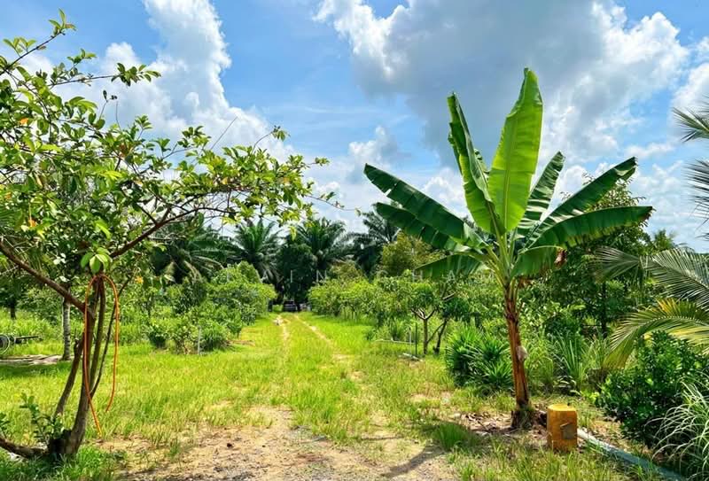 Agricultural Land for Sale in Sungai Tiram (Ulu Tiram) - Alvin Cham - PropertyGuru.com.my