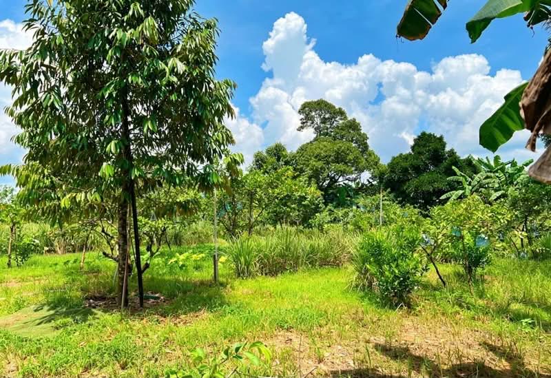 Agricultural Land for Sale in Sungai Tiram (Ulu Tiram) - Alvin Cham - PropertyGuru.com.my
