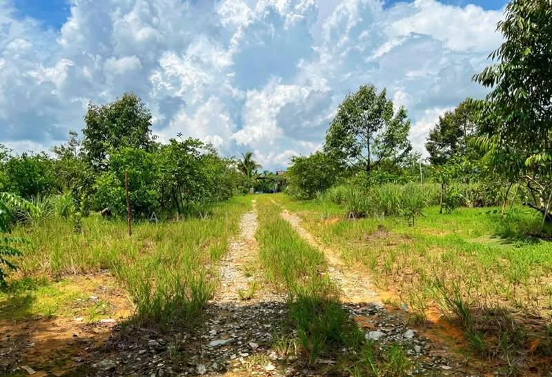 Agricultural Land for Sale in Sungai Tiram (Ulu Tiram) - Alvin Cham - PropertyGuru.com.my