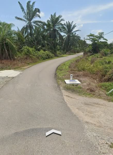 Agricultural Land for Sale in Kukup (Johor) - Mindy Lee - Exterior - PropertyGuru.com.my
