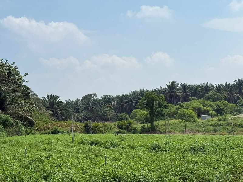 Agricultural Land for Sale in Taman Desa Cemerlang (Ulu Tiram) - Ryon Teh - Exterior - PropertyGuru.com.my