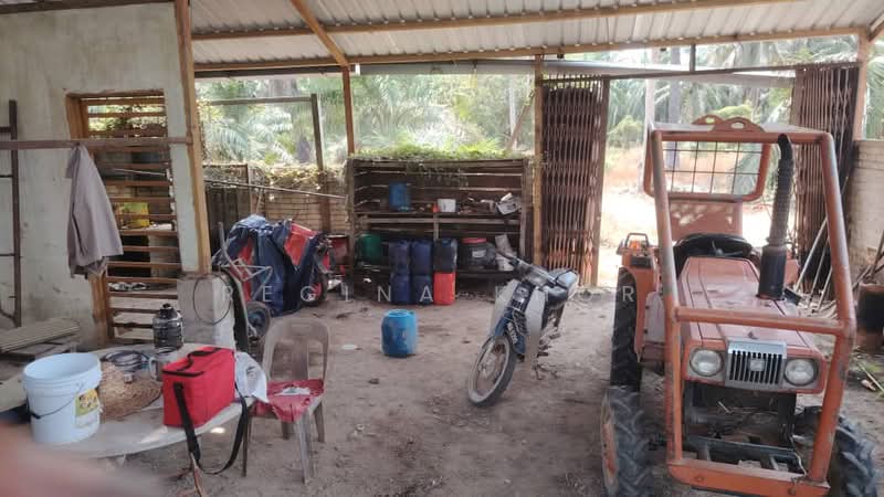 Agricultural Land for Sale in Kampung Sungai Suli (Teluk Intan) - Regina Khor - PropertyGuru.com.my