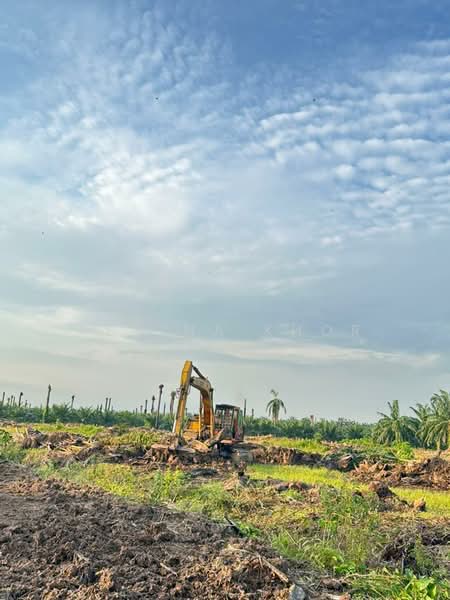 Agricultural Land for Sale in Kampung Sungai Suli (Teluk Intan) - Regina Khor - PropertyGuru.com.my