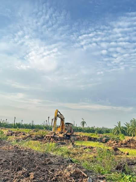 Agricultural Land for Sale in Kampung Sungai Suli (Teluk Intan) - Regina Khor - PropertyGuru.com.my