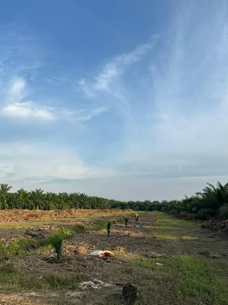 Agricultural Land for Sale in Kampung Sungai Suli (Teluk Intan) - Regina Khor - PropertyGuru.com.my