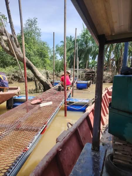 Agricultural Land for Sale in Kampung Sungai Suli (Teluk Intan) - Regina Khor - PropertyGuru.com.my