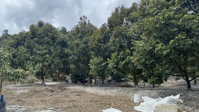 Tanah Pertanian untuk Dijual di Raub (Pahang) - Damon Wong - Exterior - PropertyGuru.com.my
