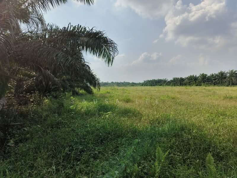 Agricultural Land for Sale in Simpang Renggam (Johor) - Sausa Lee - PropertyGuru.com.my