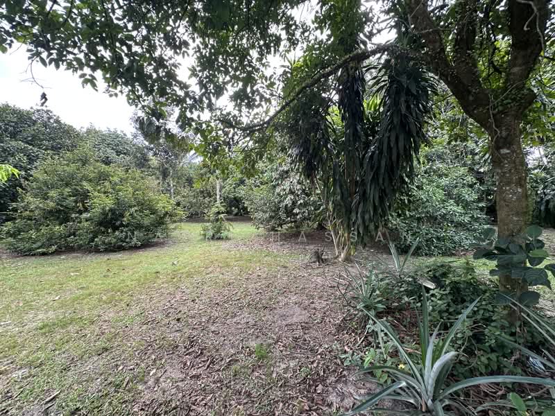 Agricultural Land for Sale in Sungai Buloh (Selangor) - Nazri Hassan - PropertyGuru.com.my