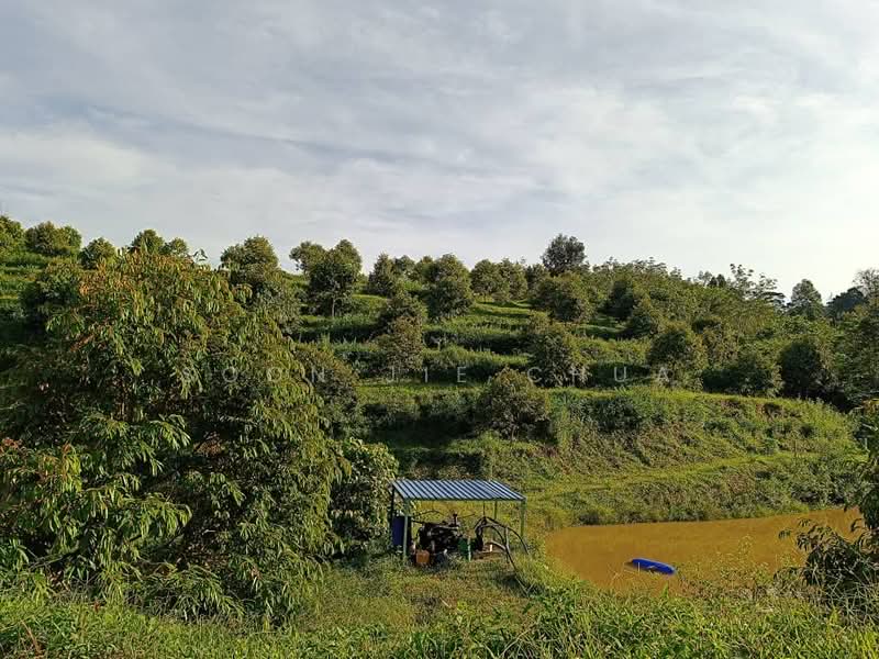 Agricultural Land for Sale in Gerik (Perak) - Soon Jie Chua - Exterior - PropertyGuru.com.my