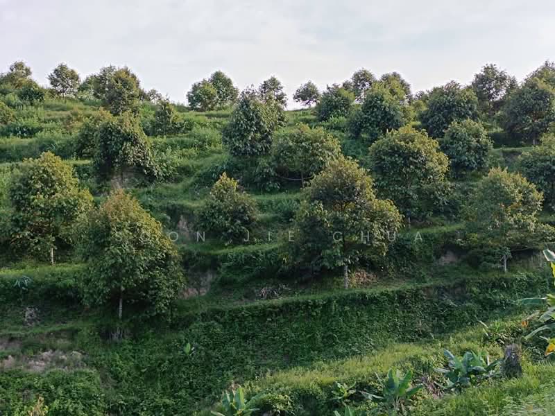 Agricultural Land for Sale in Gerik (Perak) - Soon Jie Chua - Garden - PropertyGuru.com.my