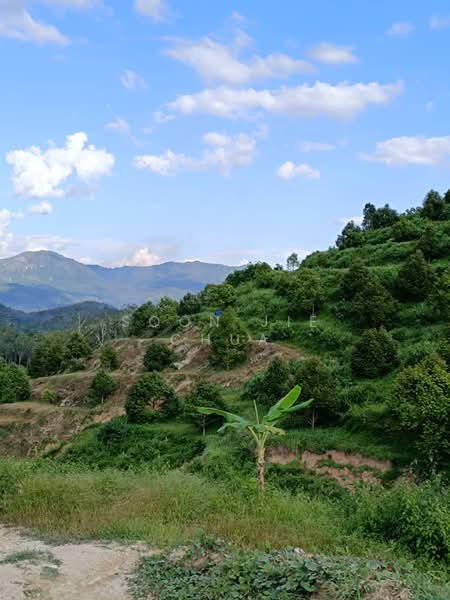 Agricultural Land for Sale in Gerik (Perak) - Soon Jie Chua - Exterior - PropertyGuru.com.my